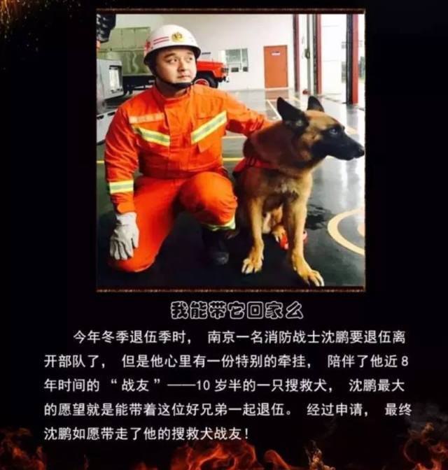 浴火重生的逆行者，肌肉越大責(zé)任越大，這才是真漢子——中國消防員(圖23)
