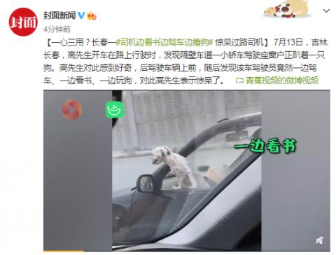 一心三用？司機邊看書邊駕車邊擼狗驚呆過路司機