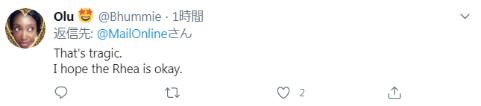 剛確診新冠一星期，巴西總統(tǒng)喂鴕鳥時又被咬了，網(wǎng)友卻希望“鳥沒事”(圖5)