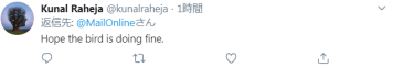 剛確診新冠一星期，巴西總統(tǒng)喂鴕鳥時又被咬了，網(wǎng)友卻希望“鳥沒事”(圖4)