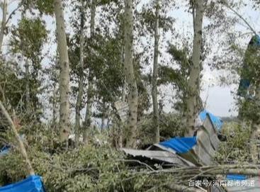 綏化突遭龍卷風(fēng)襲擊，房蓋在天上飛！村民：我70歲沒見過這事(圖6)