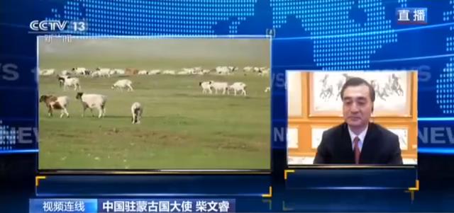 蒙古國送的3萬只羊會(huì)變成羊肉 吃貨網(wǎng)友：準(zhǔn)備好了(圖3)