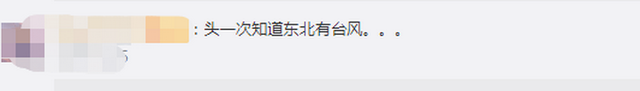 臺(tái)風(fēng)“美莎克”致吉林玉米大面積倒伏，像棉被一樣鋪在地上，減產(chǎn)已成定局(圖2)