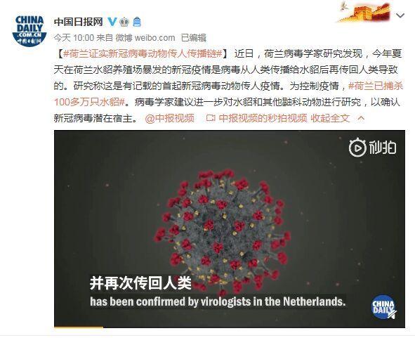 首起！荷蘭證實(shí)新冠病毒動(dòng)物傳人疫情鏈條：病毒從人類傳播給水貂后再傳回人類